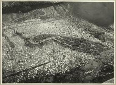 Τμήμα ψηφιδωτού. Ταώς.