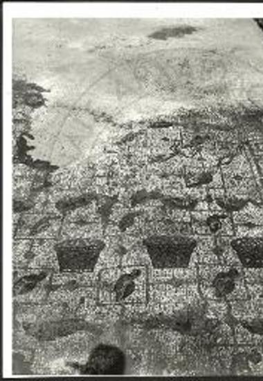 Το παρά την νοτίαν πλευράν ψηφιδωτόν δάπεδον του εξωνάρθηκος της βασιλικής Α.