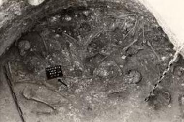 Τάφος VΙΙ, θάλαμος με ταφές κατά χώραν.