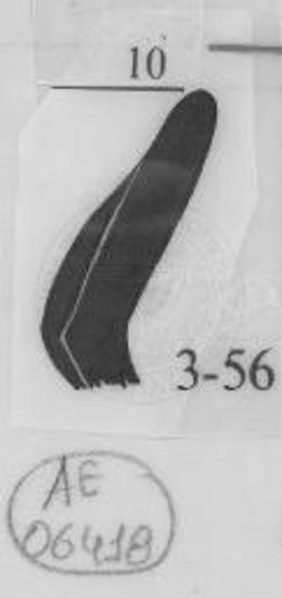 Λαιμός αγγείου.