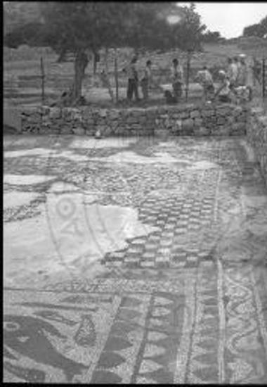 Συνολική άποψις του εν τω μέσω κλίτει ψηφιδωτού δαπέδου της βασιλικής του Ολούντος.