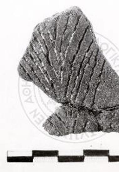 Όστρακον μετά εγχαράξεων ΝΔ τομέως τύμβου.