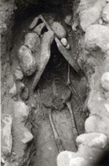 Ανθρώπινος σκελετός