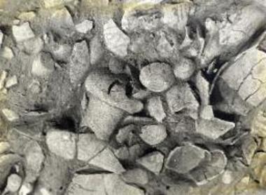 Λάκκος αποθέσεως νεκρικών προσφορών.