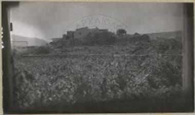 Αμνισός. Η τοποθεσία Μέσα Καρτερός. Ομφάλιον πεδίον.