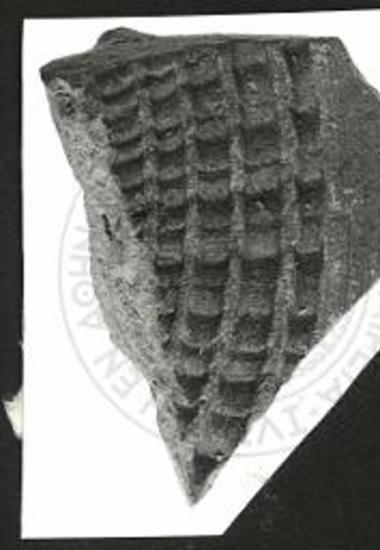 Χωρίς τίτλο