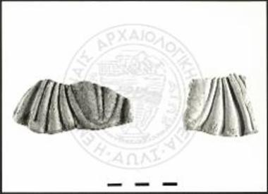 Οικοδομικό συγκρότημα στη ΝΑ κλιτύ: θραύσματα ανθοκαλύκων.