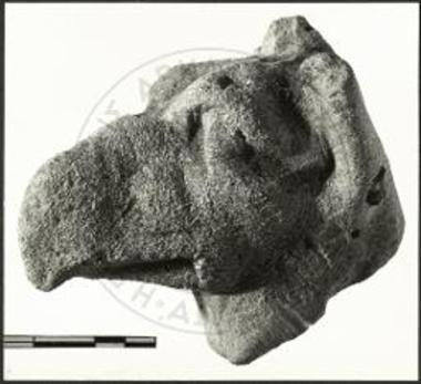 Ανασκαφή εις Κασσώπην