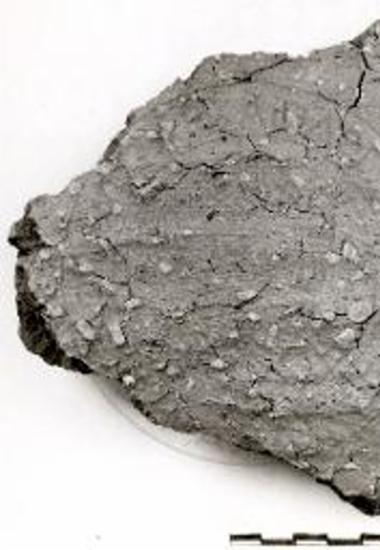 Βοϊδοκοιλιά. Όστρακον του πίθου ΒΑ-13.