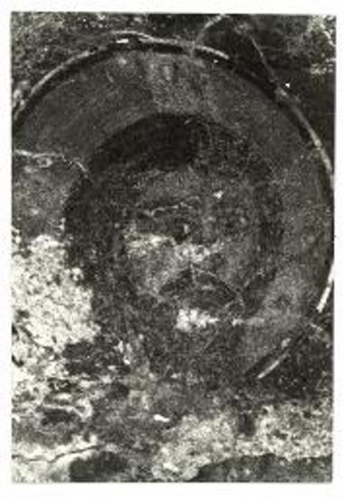 Μονή Αγίων Θεοδώρων παρά το Πραστείον. Κεφαλή Χριστού της Βαϊοφόρου, τοιχογραφία.