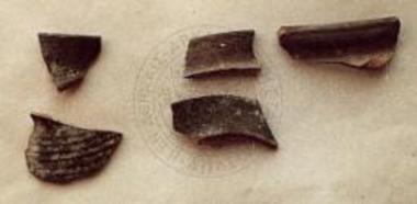 Όστρακα ομάδος Ι.