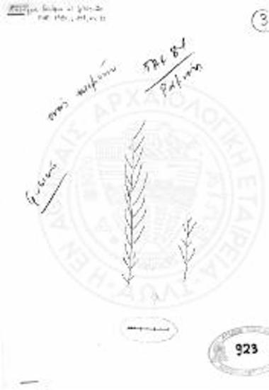 Χάραγμα δένδρων σε λιθόπλινθο.