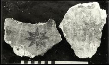 Σπαράγματα τοιχογραφιών από το ΒΔ γωνιαίο διαμέρισμα.