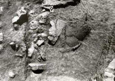 Βοϊδοκοιλιά. Ο πίθος 9.