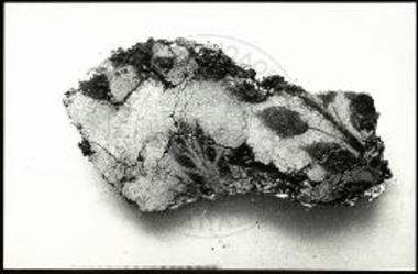 Μπρόνου 2. Τοιχογραφία. Πρασινοκύανα μυρτοειδή.