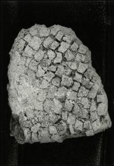 Βασιλική Γλυκέος. Απότμημα ψηφιδωτού δαπέδου.