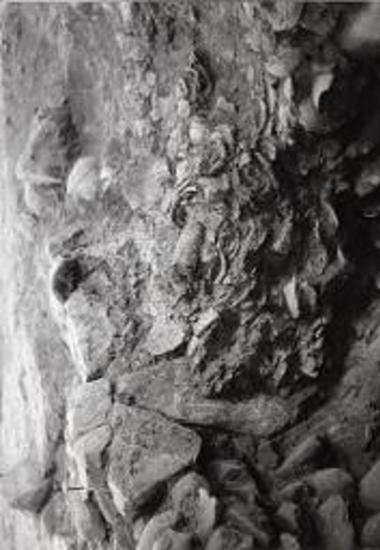 Λάκκος αποθέσεως νεκρικών προσφορών.