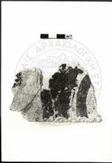 γ) Τοιχογράφημα με απομίμηση φλεβωτού λίθου (αρ. κατ. 15κ).