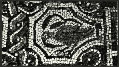 Φίλιπποι. Λεπτομέρεια του ΒΔ διαχώρου του υπό το Οκτάγωνον και εις τον βόρειον περίπατον αναφανέντος ψηφιδωτού δαπέδου. Πτηνόν εντός κυρτού οκταγώνου.