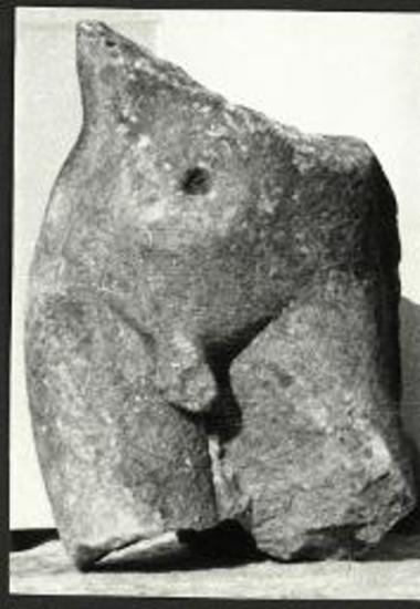 Ανδρικός μαρμάρινος κορμός.