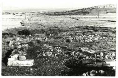 Πάρος, Κουκουναριές. Ερείπια ιερού στη θέση Χαλάσματα, από Δ.