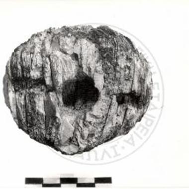 Ταφικός Κύκλος Β, τάφος Ι. Μύκης εξ ελεφαντοστού.