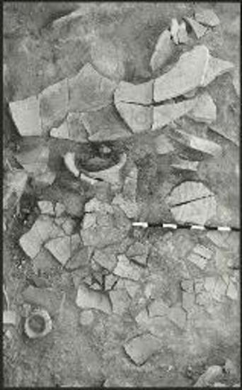 Πάρος, Κουκουναριές. Πίθοι και καλύμματα πίθων μετά την αποκάλυψή τους στη δεύτερη αποθήκη.