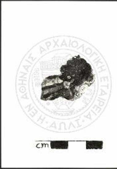 Ανατολική Ζωφόρος. «Υποτροπικό τοπίο» α) και δεξιά βραχώδες έδαφος (αρ. κατ. ΑΝ76).