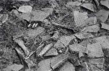 Ρωμαϊκή έπαυλις, δωμάτιο 44: οστά καφέ αρκούδας.