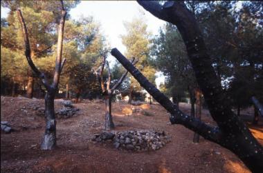 Σεράγεβο