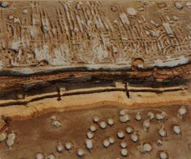 Chatt al - Arab, Irak