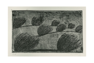 Crops on the sand hill