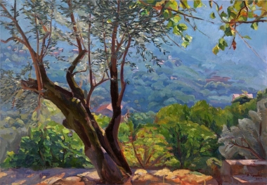 Olive Tree