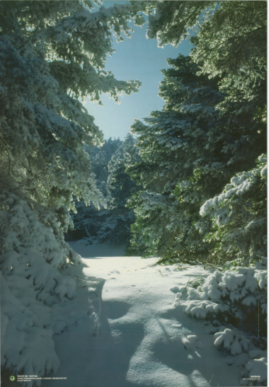 Πάρνηθα Αφίσα_2940