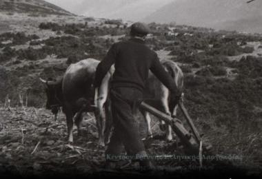 Σπορά δημητριακών στη Μακεδονία