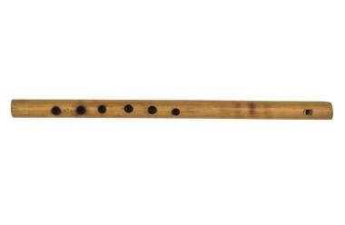 Recorder