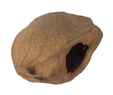 Σφυρίχτρα (163 Β)