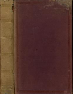 Ρίζος - Ραγκαβής , Αλέξανδρος (1809-1892)