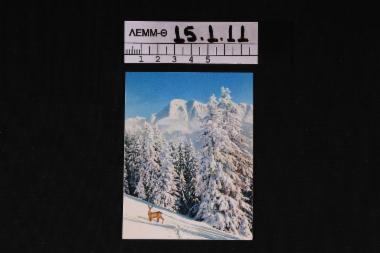 Κάρτα - καρτ ποστάλ με εκτύπωση φωτογραφίας χιονισμένου δάσους, ελαφιού, βουνών
