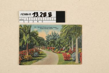 Καρτ ποστάλ - έγχρωμη καρτ ποστάλ, με απεικόνιση ένα δρόμο στο Σανσετ Αϊλαντ (Sunset Island) στο Μαϊάμι, 1948