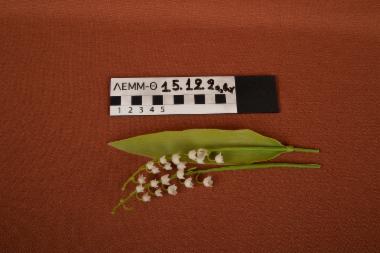 Πλαστικό λουλούδι