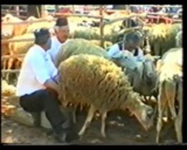 Εκδήλωση Σαρακατσαναίων: 'Κούρος'