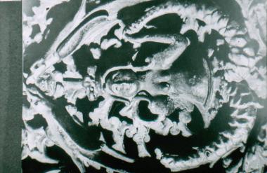 Ξυλόγλυπτη γοργόνα