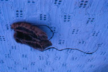 Shoes of the tradinional costume of Sohos