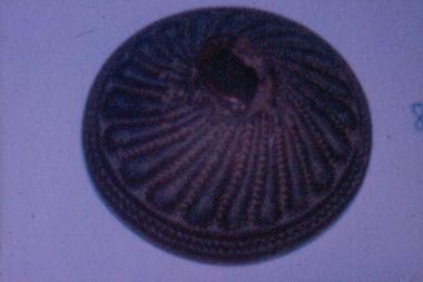 Spindle whorl