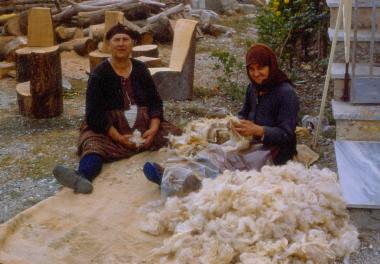 Carding wool