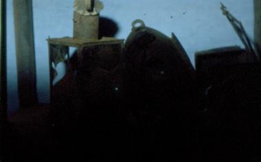 Έρευνα στα χωριά της Καστοριάς