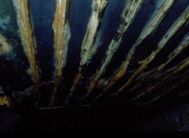 Έρευνα στα χωριά της Καστοριάς