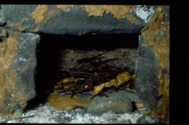 Έρευνα στα χωριά της Φλώρινας