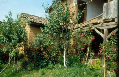 Έρευνα στα χωριά της Φλώρινας